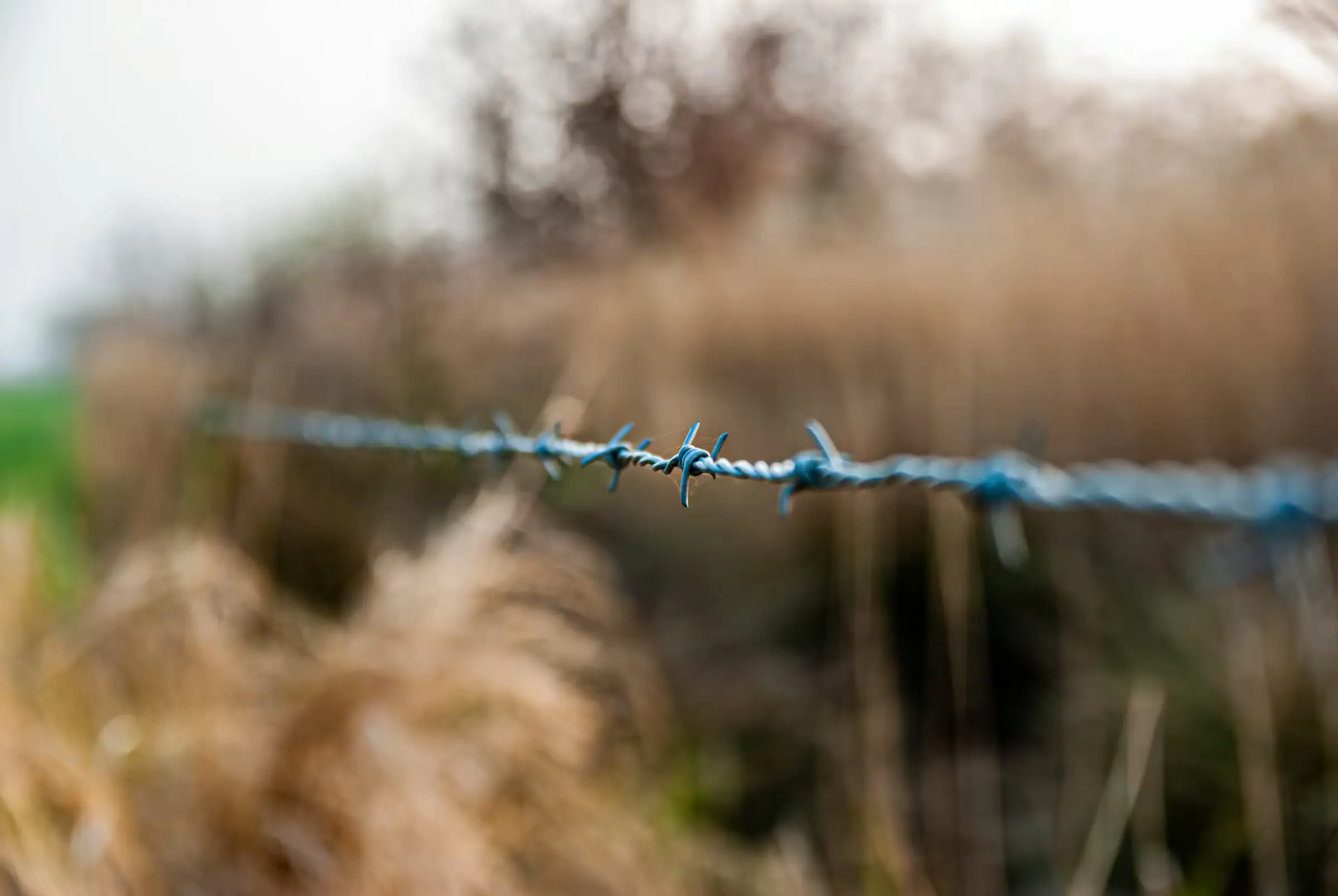 Autumn's Edge, Etten-Leur Close-up of barbed wire in front of blurred autumn foliage in Etten-Leur, Netherlands.