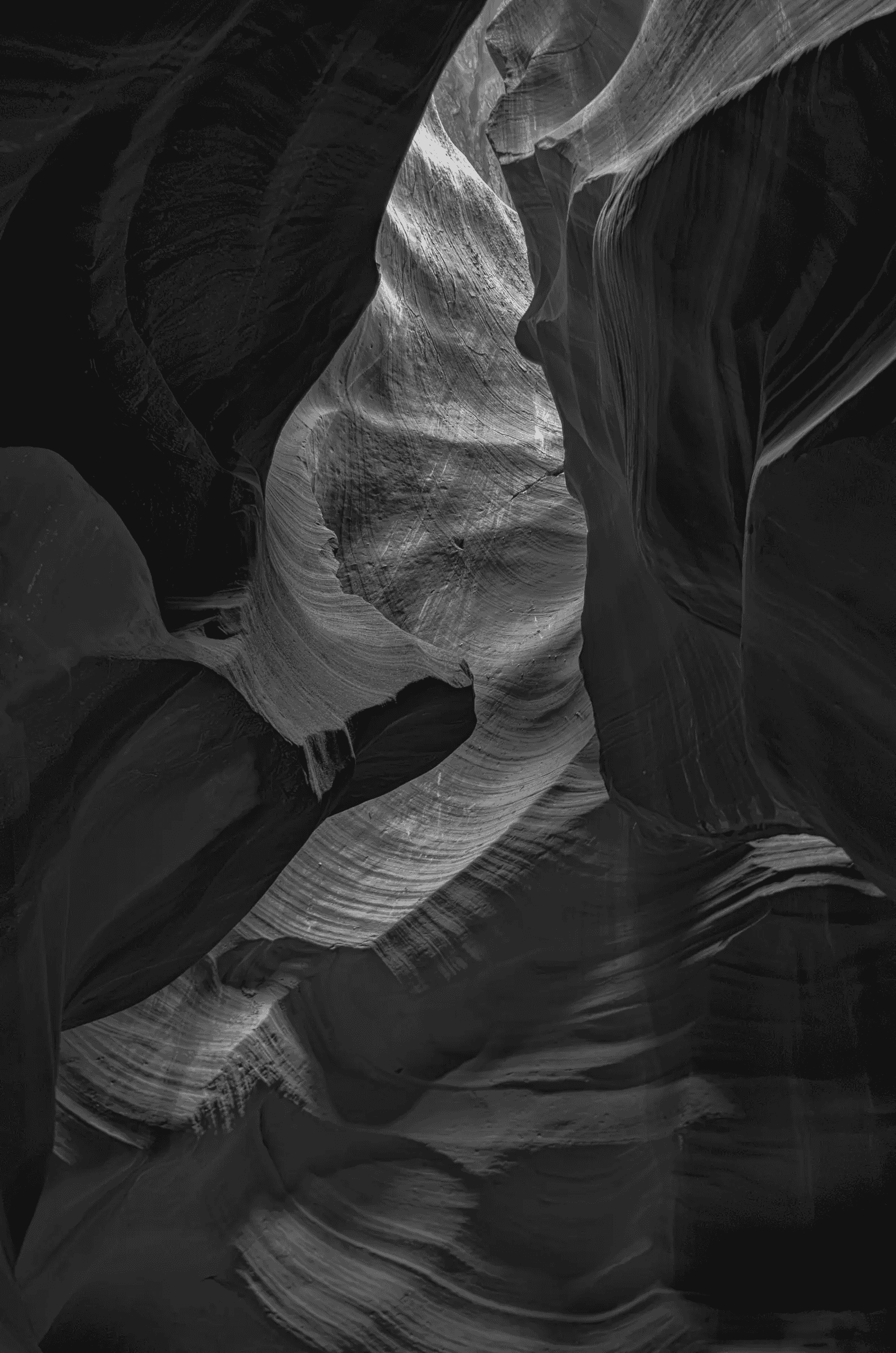 Carved Light, Antelope Interior view of a narrow slot canyon (Antelope Canyon) showing curved, layered sandstone walls and a shaft of light illuminating textured striations in black and white.