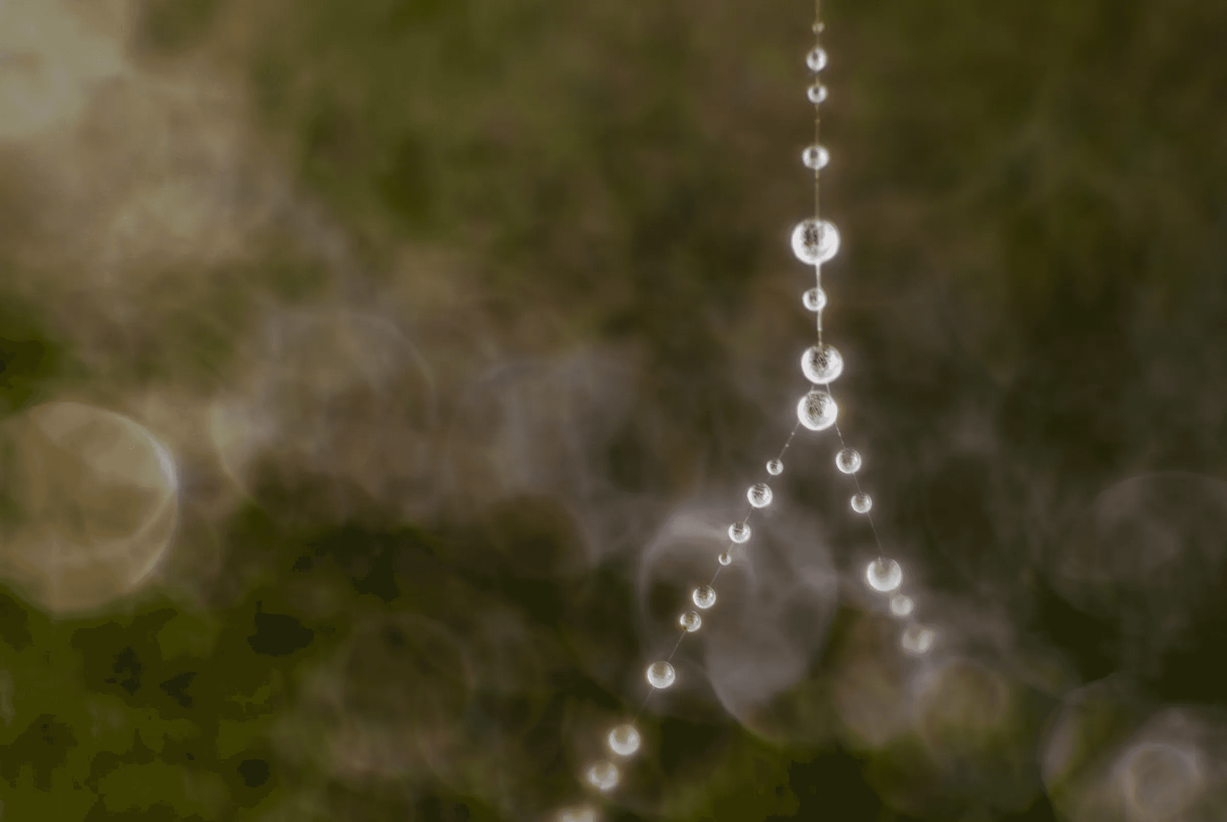 Dew Drops on Spider Web as an abstract study.