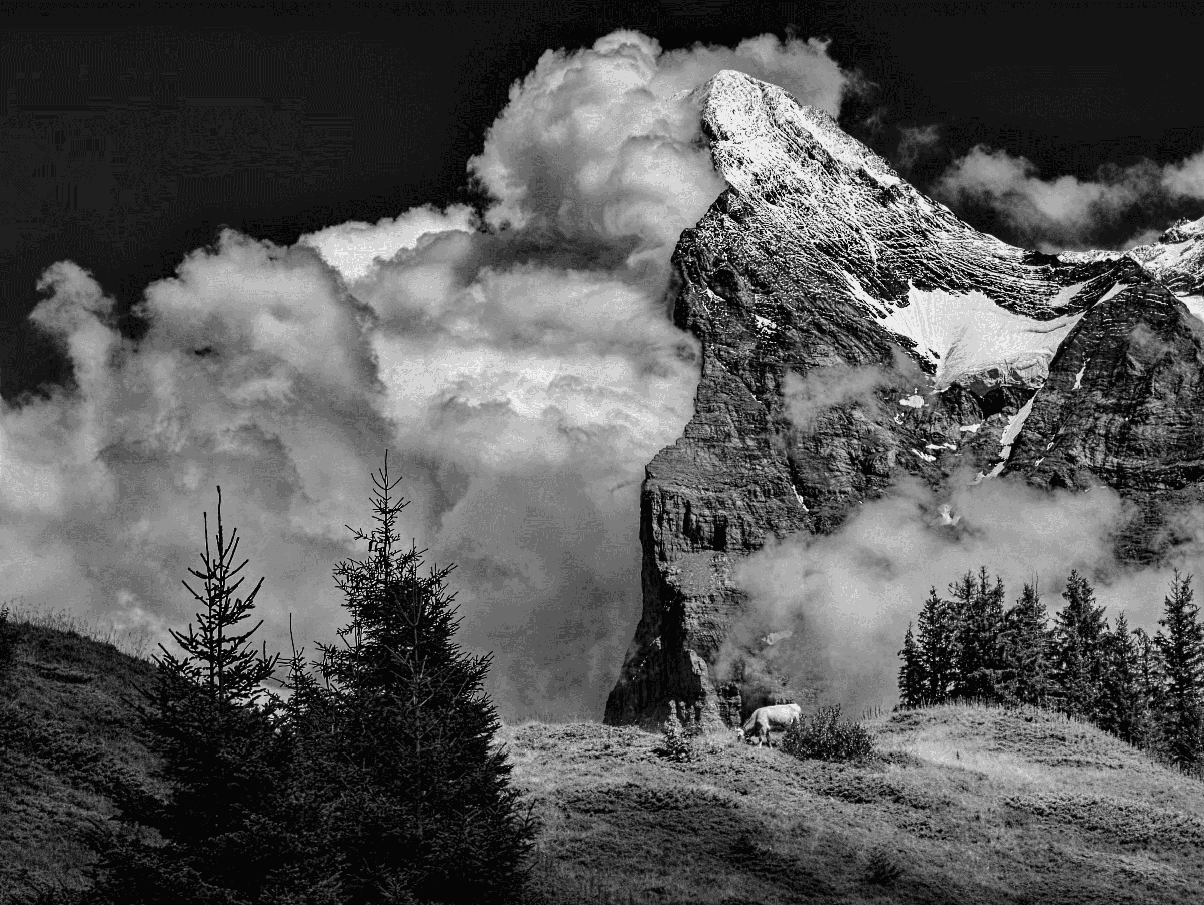 Eiger's Shadow: North Face in Cloud Veil Dramatic black and white landscape photograph of the Eiger mountain in the Swiss Alps.