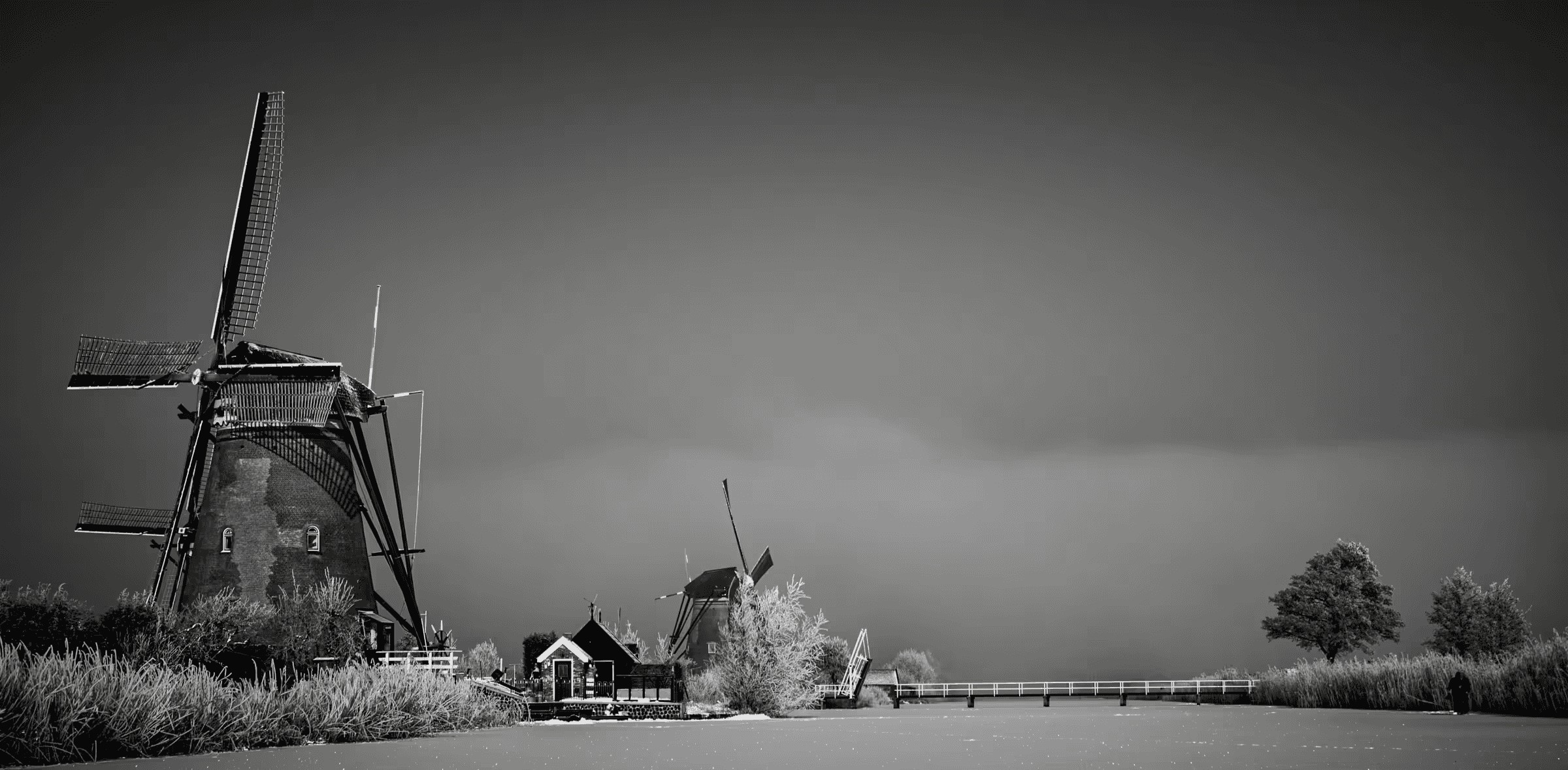 Windmills in Monochrome Mist Windmills in Mist in Kinderdijk in monochrome.