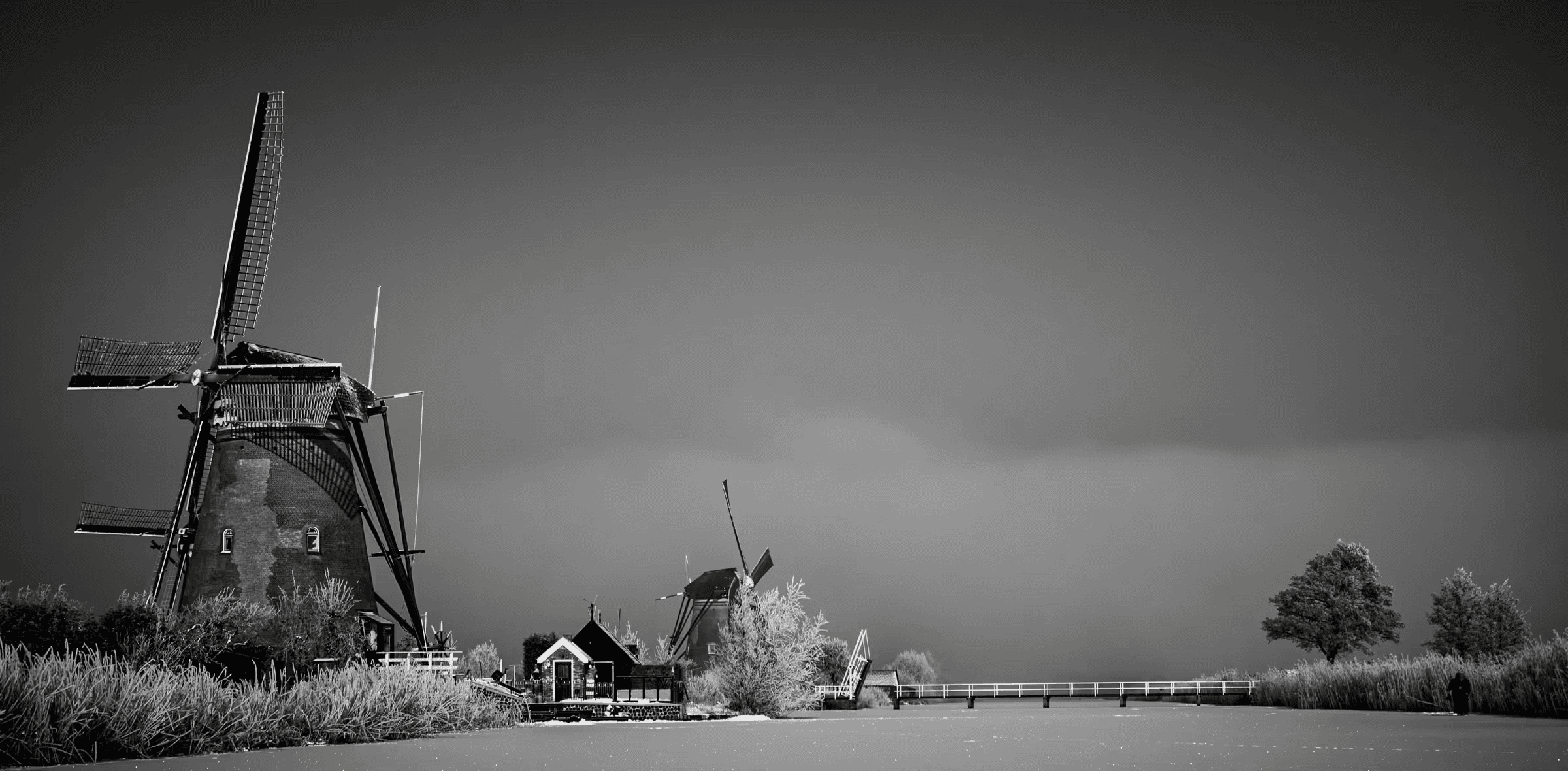 Windmills in Monochrome Mist Windmills in Mist in Kinderdijk in monochrome.