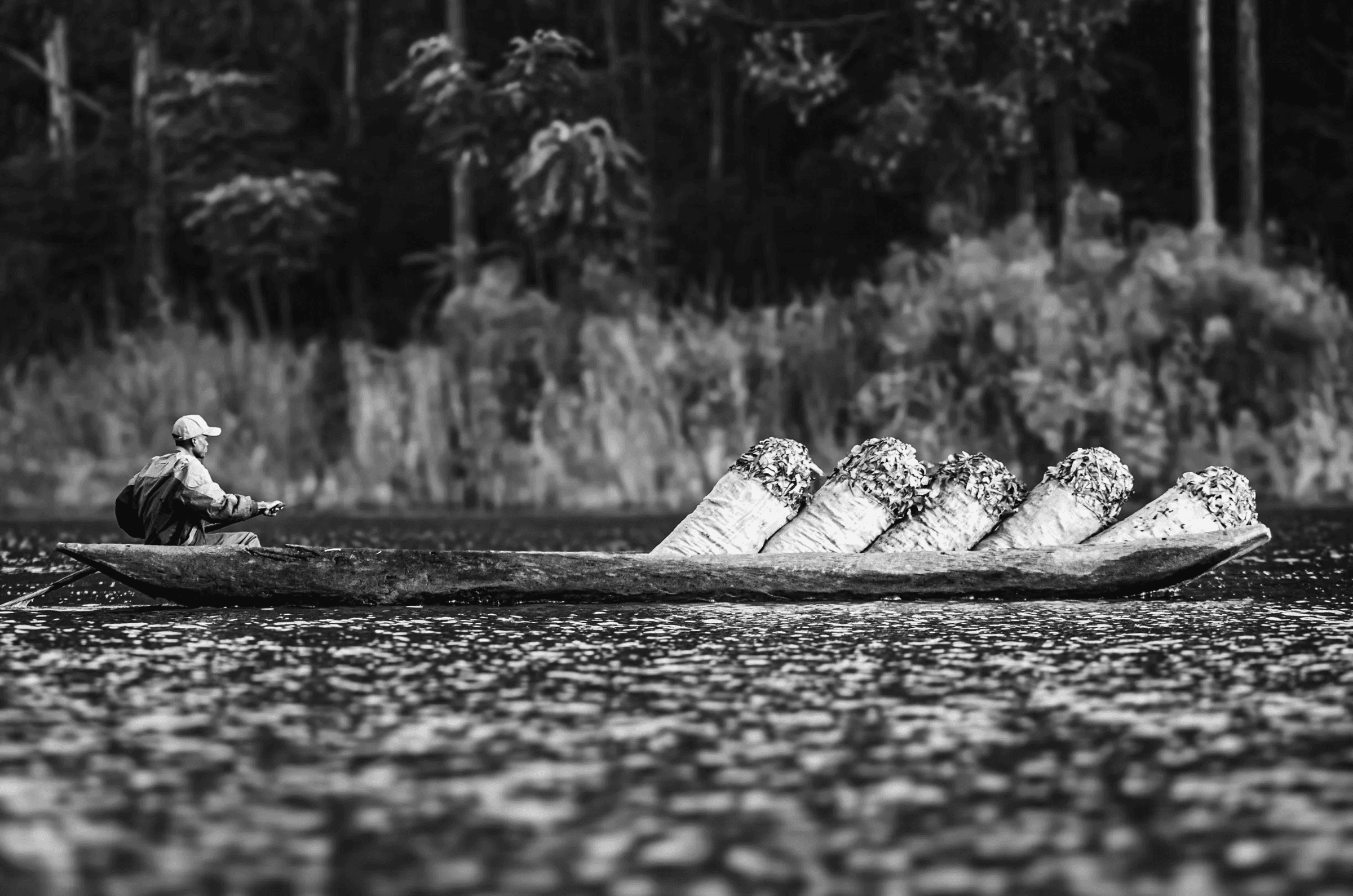 Black and white photograph of a person paddling a dugout canoe laden with large bundles of tea across Lake Bunyonyi, Uganda, with a lush shoreline in the background.