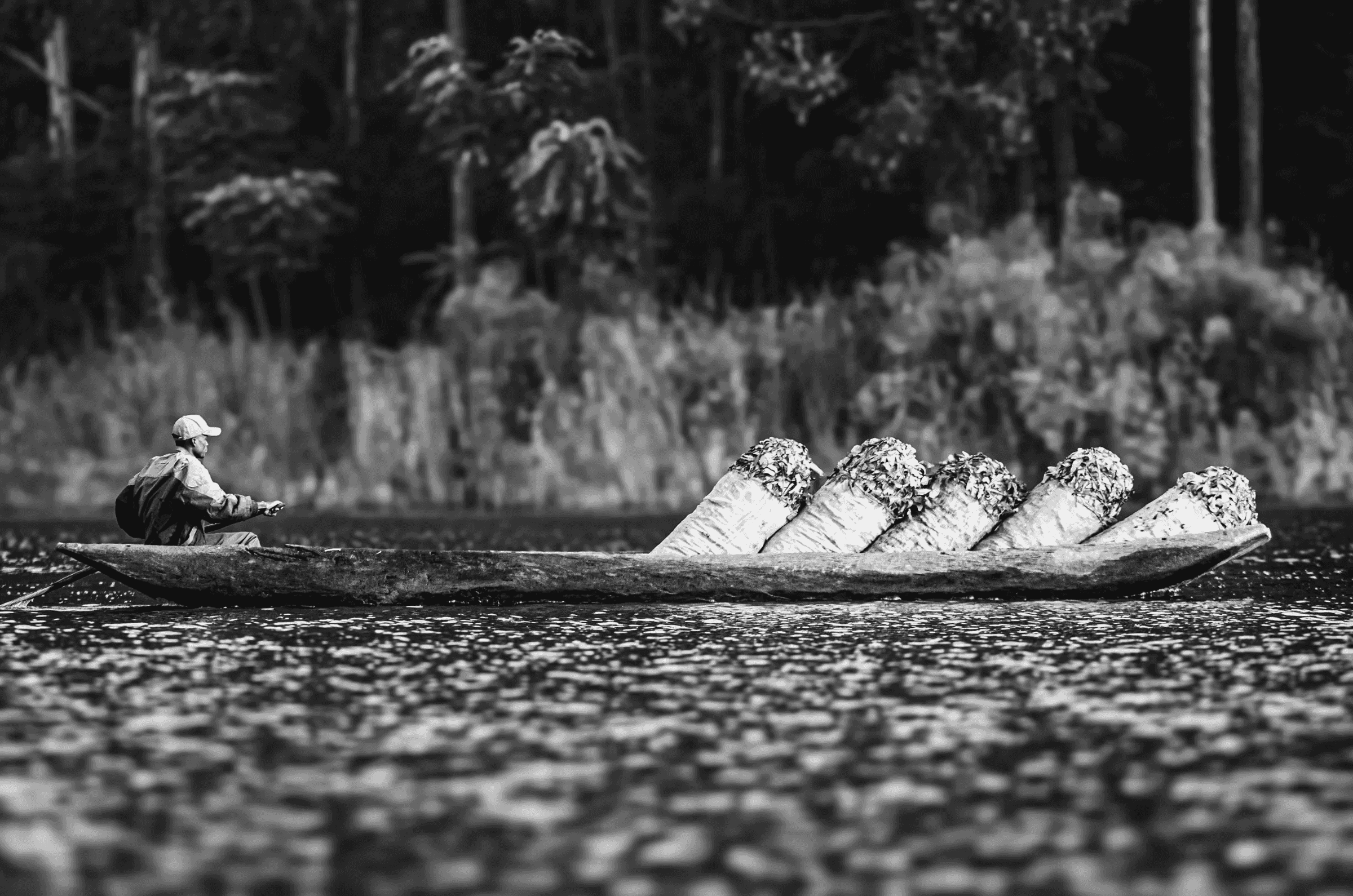 Black and white photograph of a person paddling a dugout canoe laden with large bundles of tea across Lake Bunyonyi, Uganda, with a lush shoreline in the background.