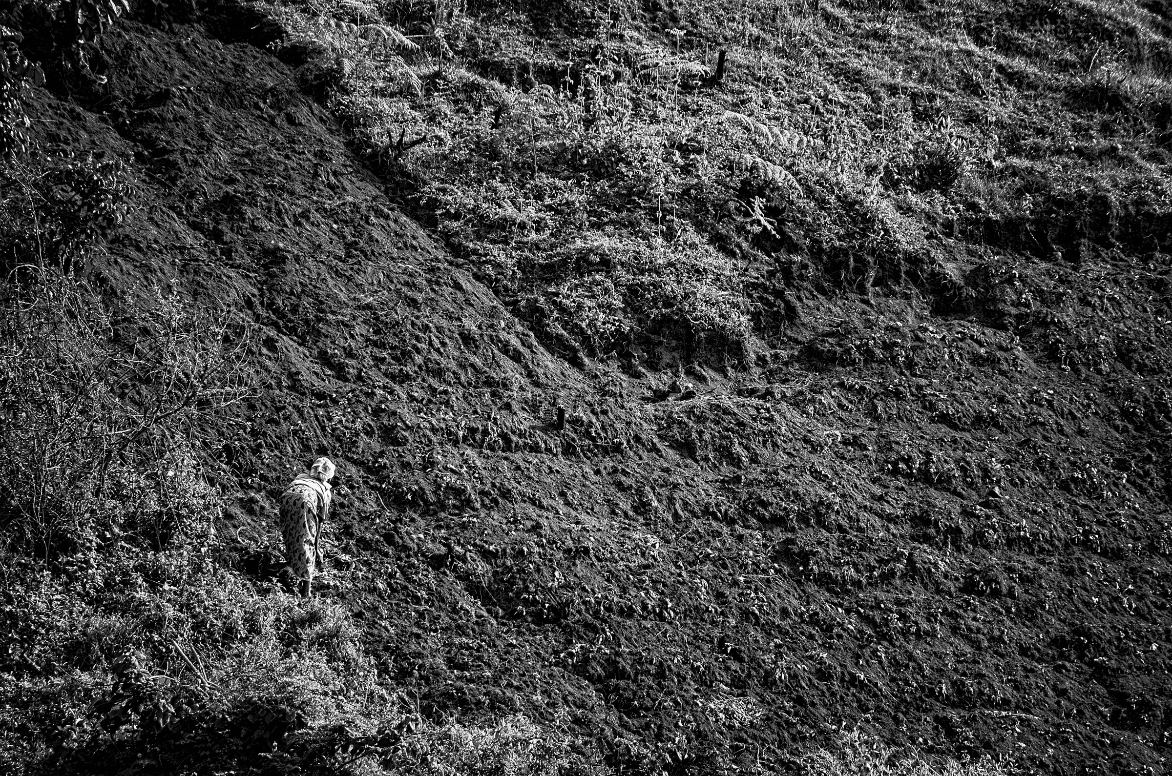 Black and white photograph of a person walking up a steep, textured, terraced hillside, likely carrying produce or tools, near Lake Bunyonyi, Uganda.