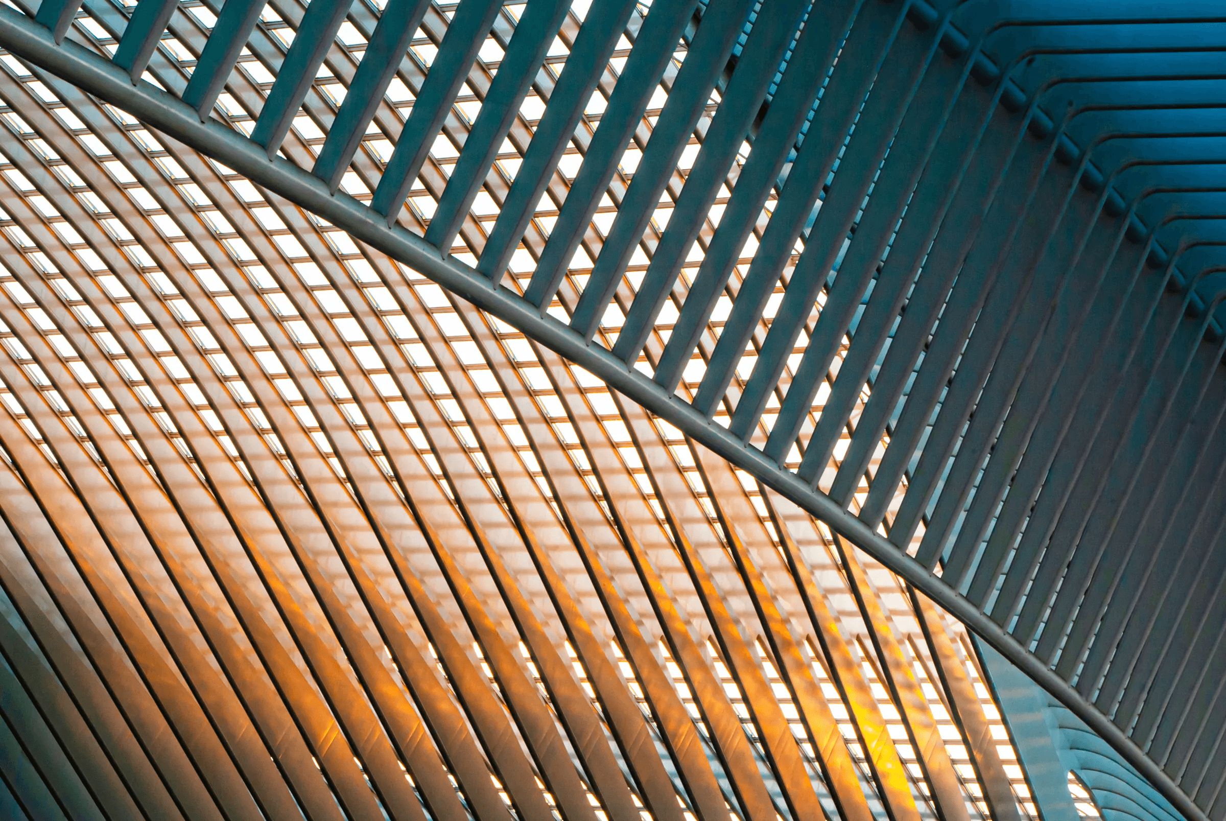 Close-up color photograph of the sweeping roof structure of Liège-Guillemins railway station, designed by Santiago Calatrava, featuring repeating parallel lines with warm light filtering through.
