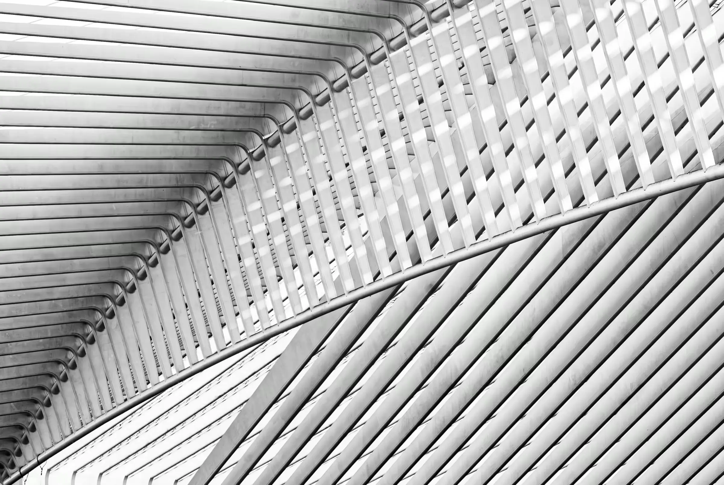 Luik Lines, Liège Black-and-white abstract of the structural lines of Liège-Guillemins station in Belgium.