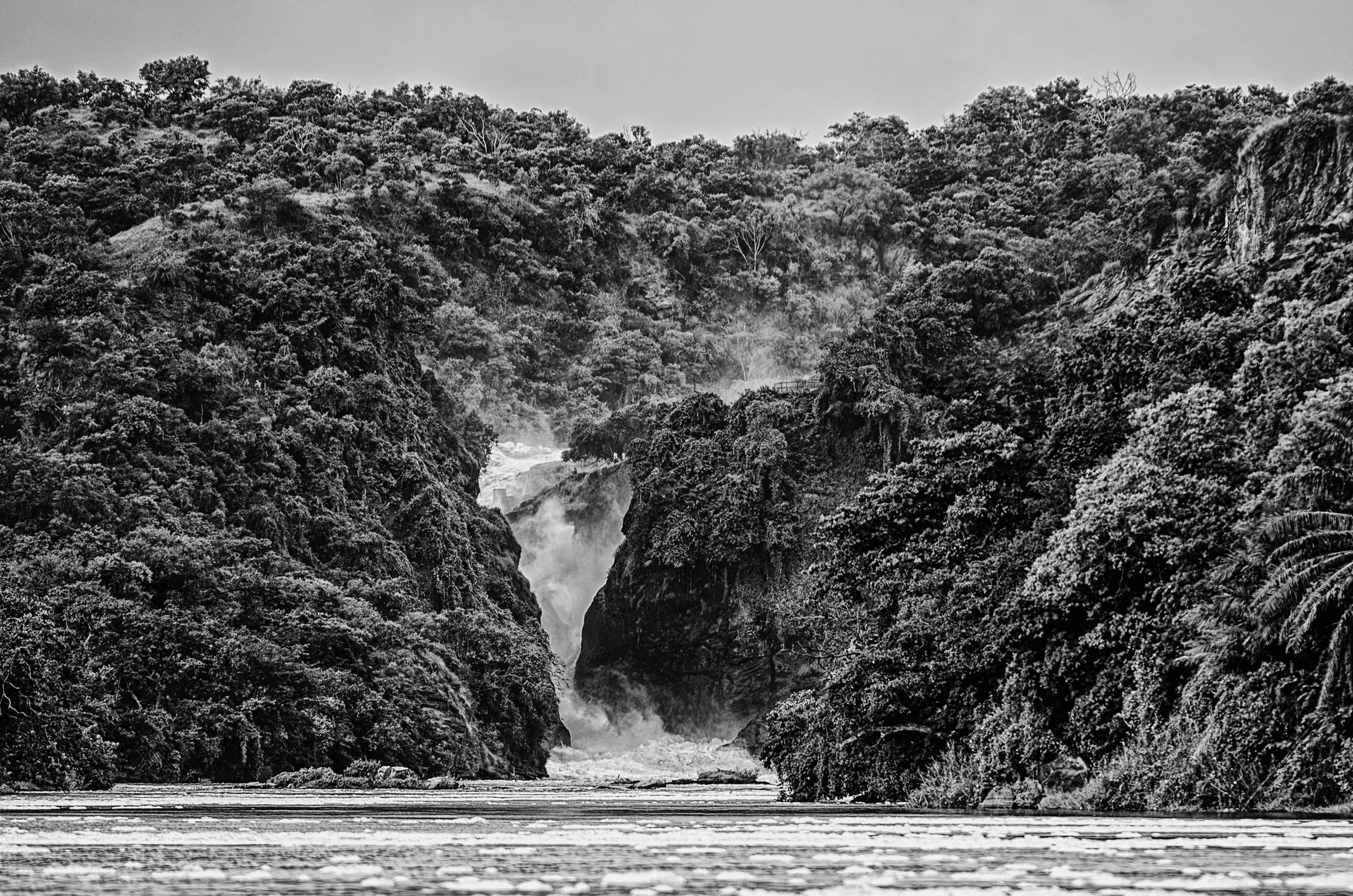 Black and white landscape photograph of the powerful Murchison Falls surging through a narrow gorge in Uganda, surrounded by lush vegetation.