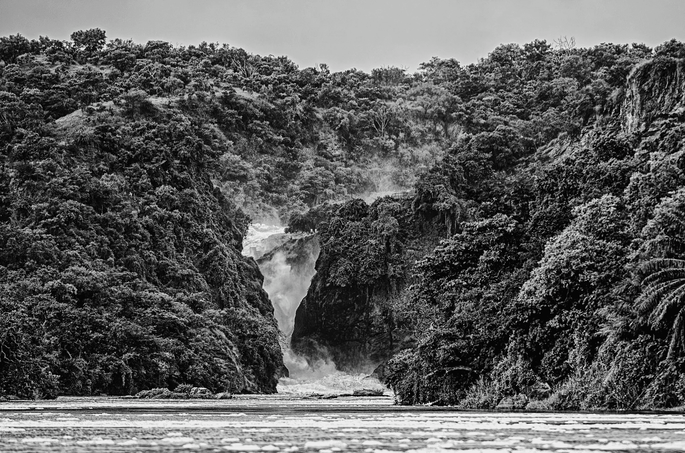 Powerful Murchison Falls surging through a narrow gorge in Uganda, surrounded by lush vegetation.