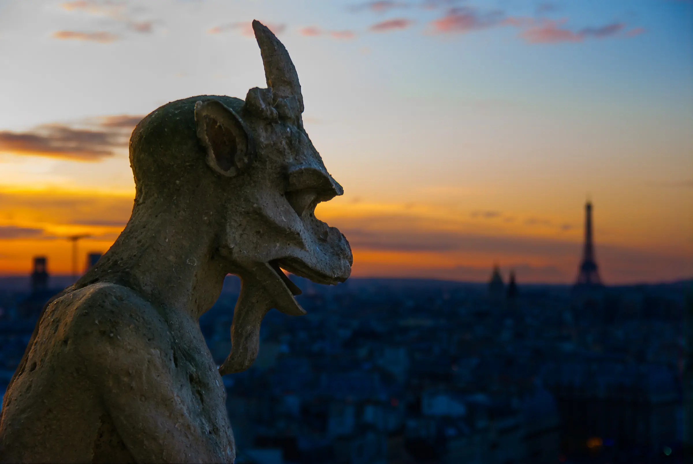 Notre Dame Gargoyle Dusk in Paris.