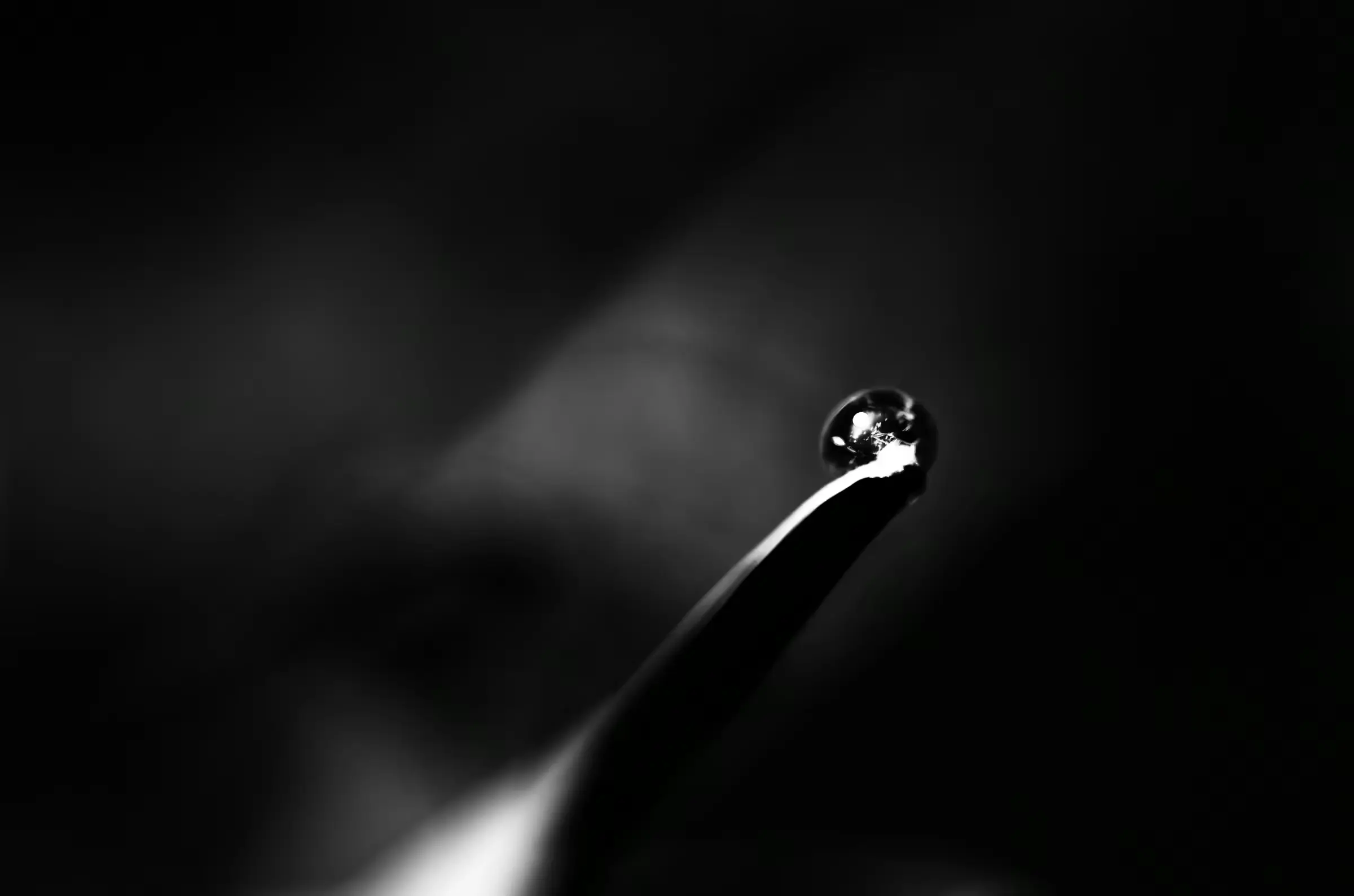 Pearl On A Leaf, Monochrome Black-and-white close-up of a water droplet resting on a leaf.