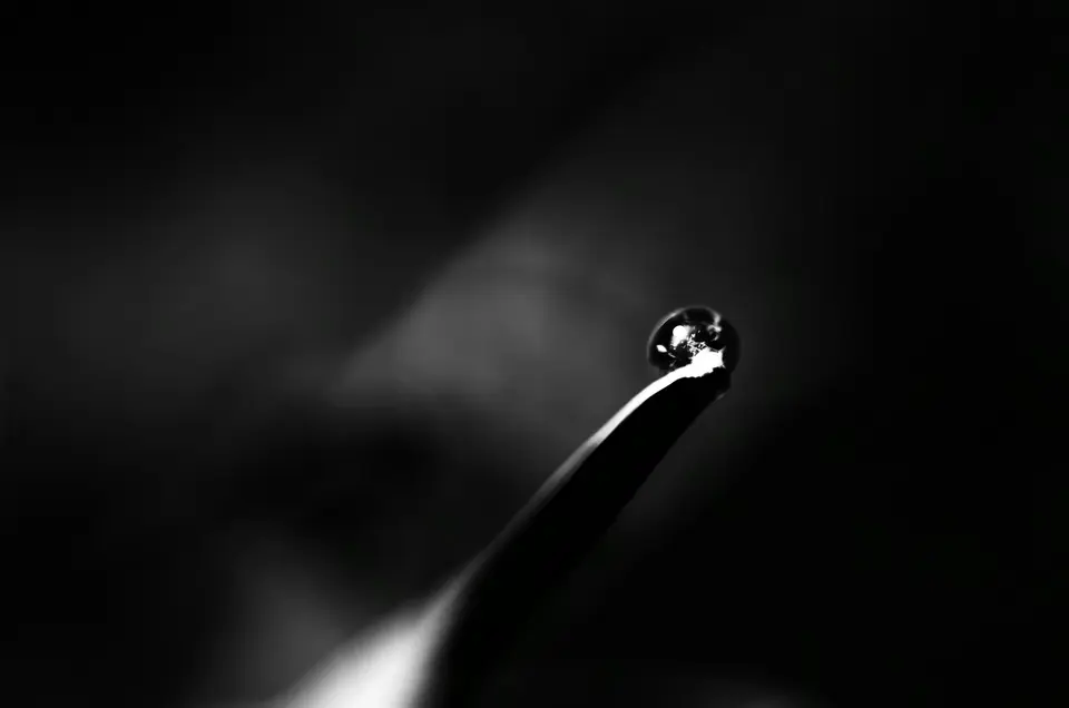 Black-and-white close-up of a water droplet resting on a leaf.