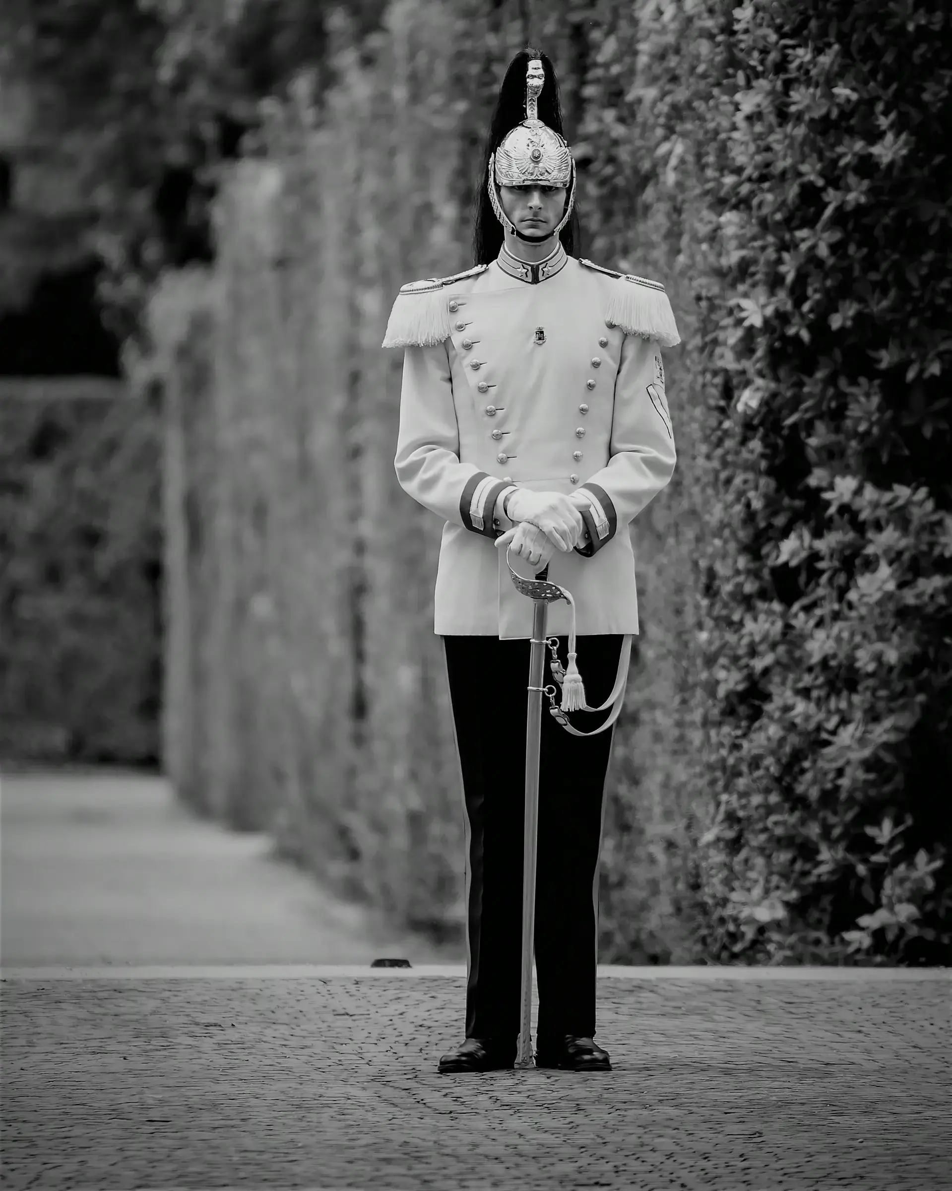 Cuirassier's Vigil: Quirinal Palace Guard A Cuirassier standing at attention, guarding the Quirinal Palace in Rome, Italy.