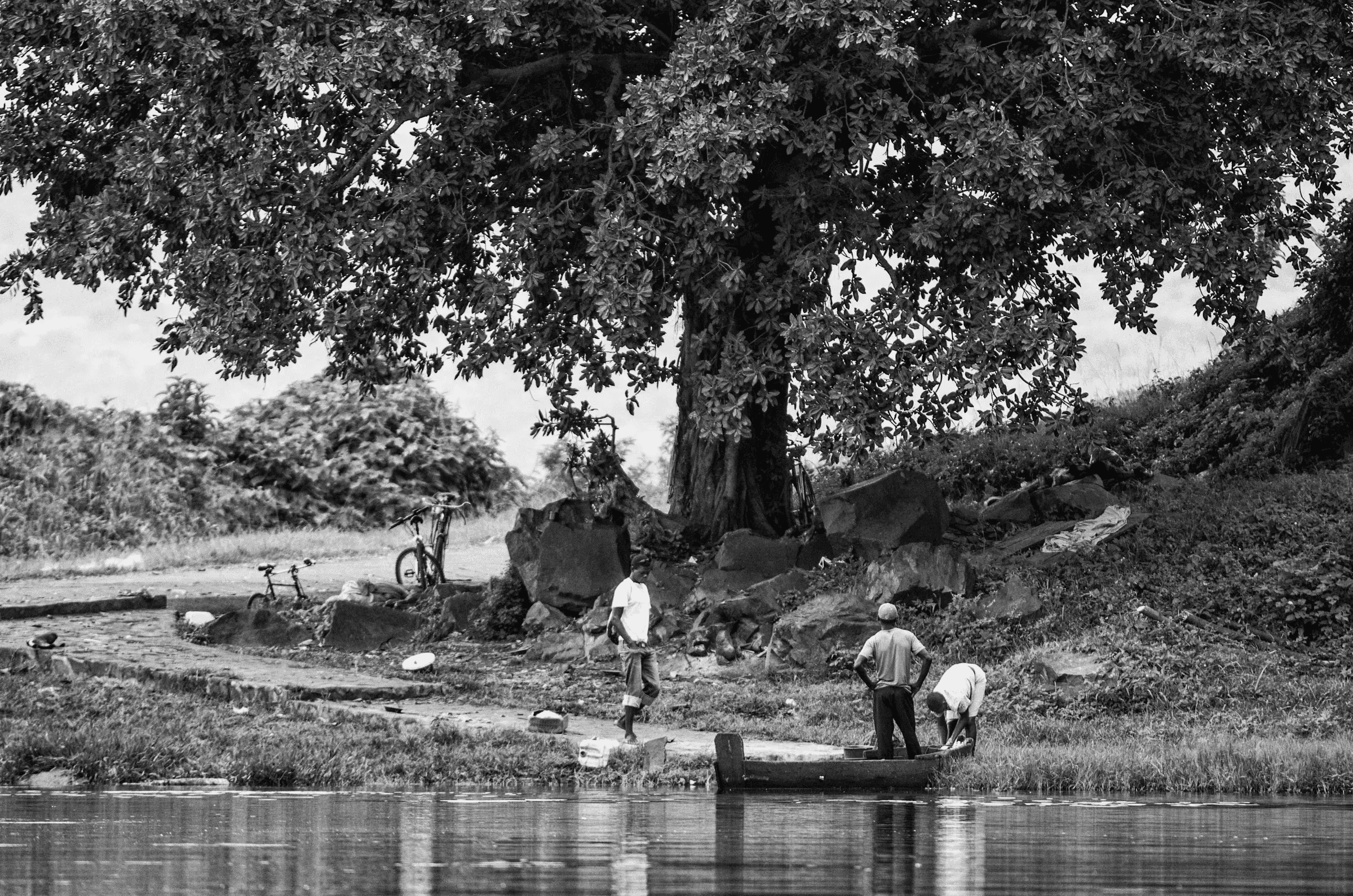Several men working with a simple boat or canoe on a riverbank under a large tree.