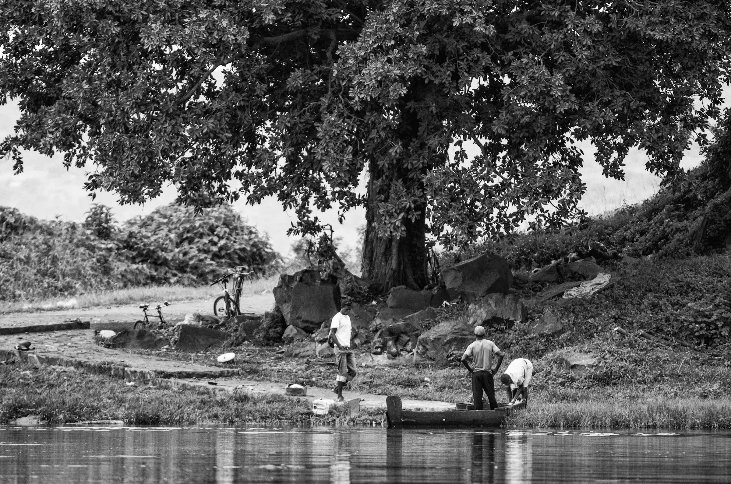 Several men working with a simple boat or canoe on a riverbank under a large tree.