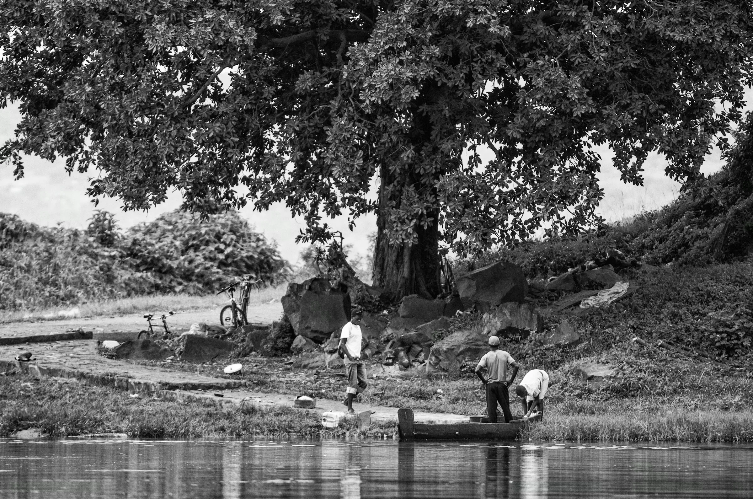 Several men working with a simple boat or canoe on a riverbank under a large tree.