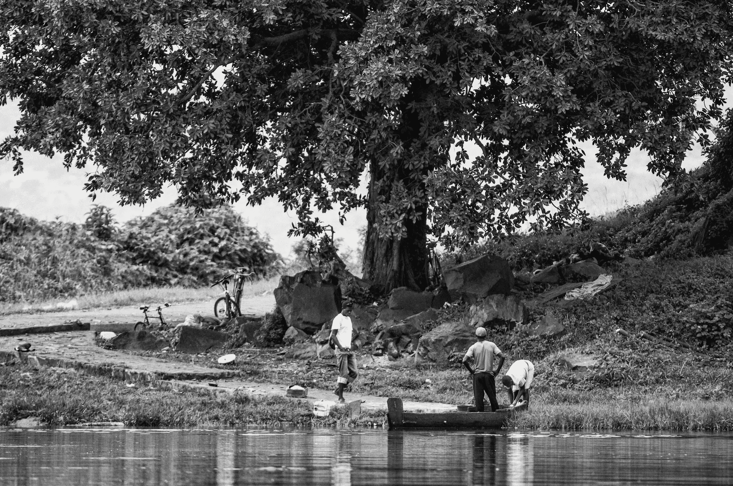 Scene of Daily Life Several men working with a simple boat or canoe on a riverbank under a large tree.