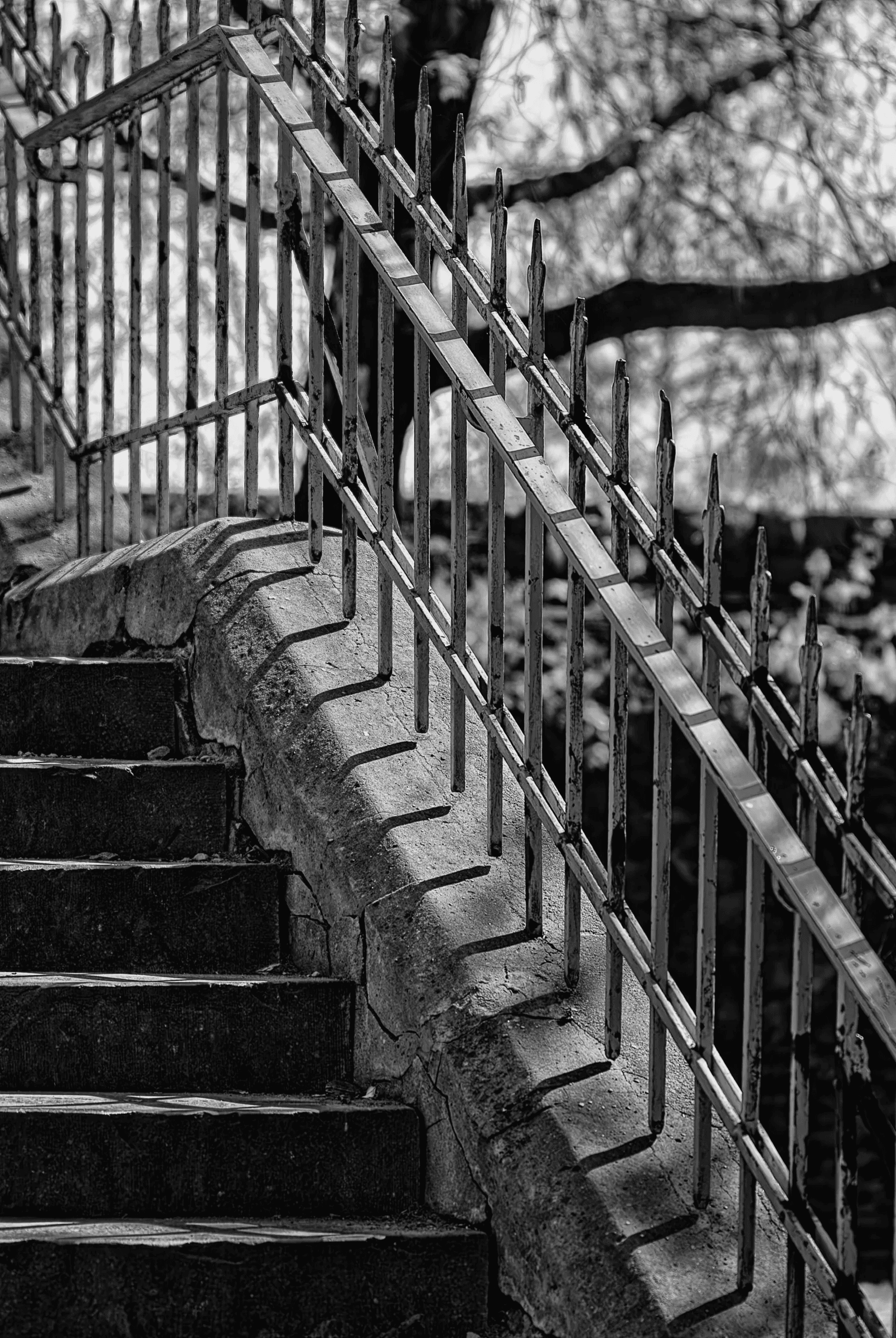 Black and white photograph looking up a stone staircase with an ornate metal railing casting strong shadows across the steps in bright sunlight.