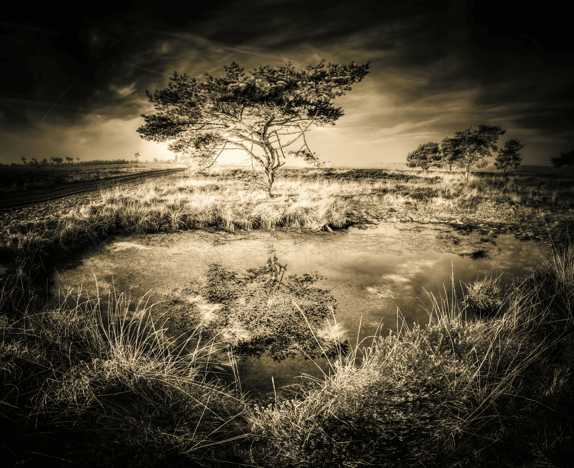 Monochrome landscape photograph featuring a solitary tree and its reflection in still water. The tree and its mirror image dominate the scene, set against a dramatic, cloudy sky rendered in shades of grey.
