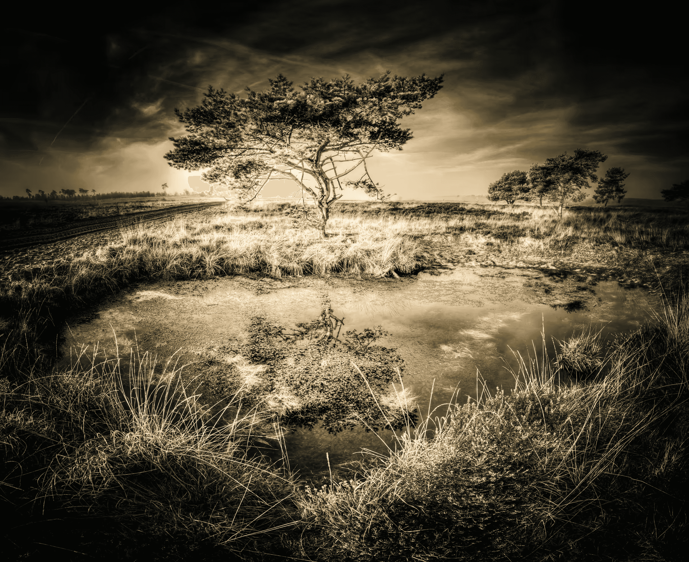 Monochrome landscape photograph featuring a solitary tree and its reflection in still water. The tree and its mirror image dominate the scene, set against a dramatic, cloudy sky rendered in shades of grey.