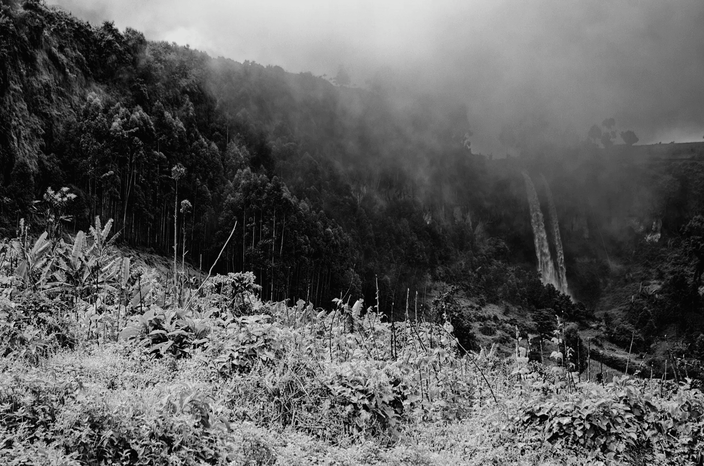 Black and white landscape photograph of a tall waterfall cascading down a densely forested mountainside in Uganda, partially shrouded in mist, with lush vegetation in the foreground.
