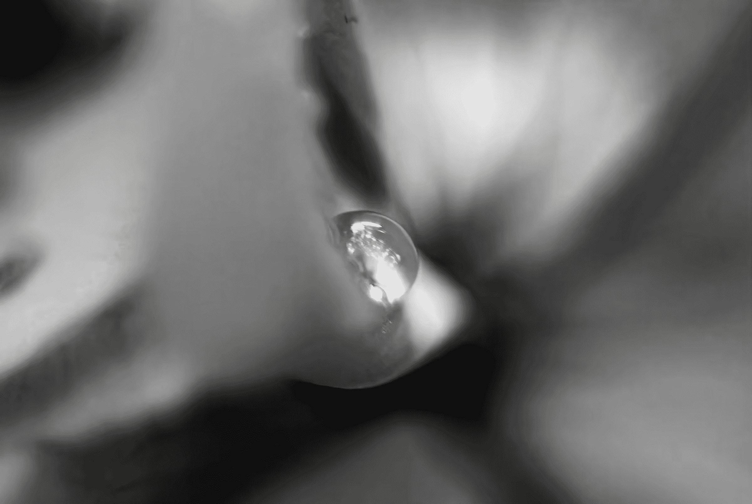 Black and white macro photograph of a water droplet clinging to a plant. The droplet is in sharp focus, reflecting light and surrounding forms in monochrome tones.