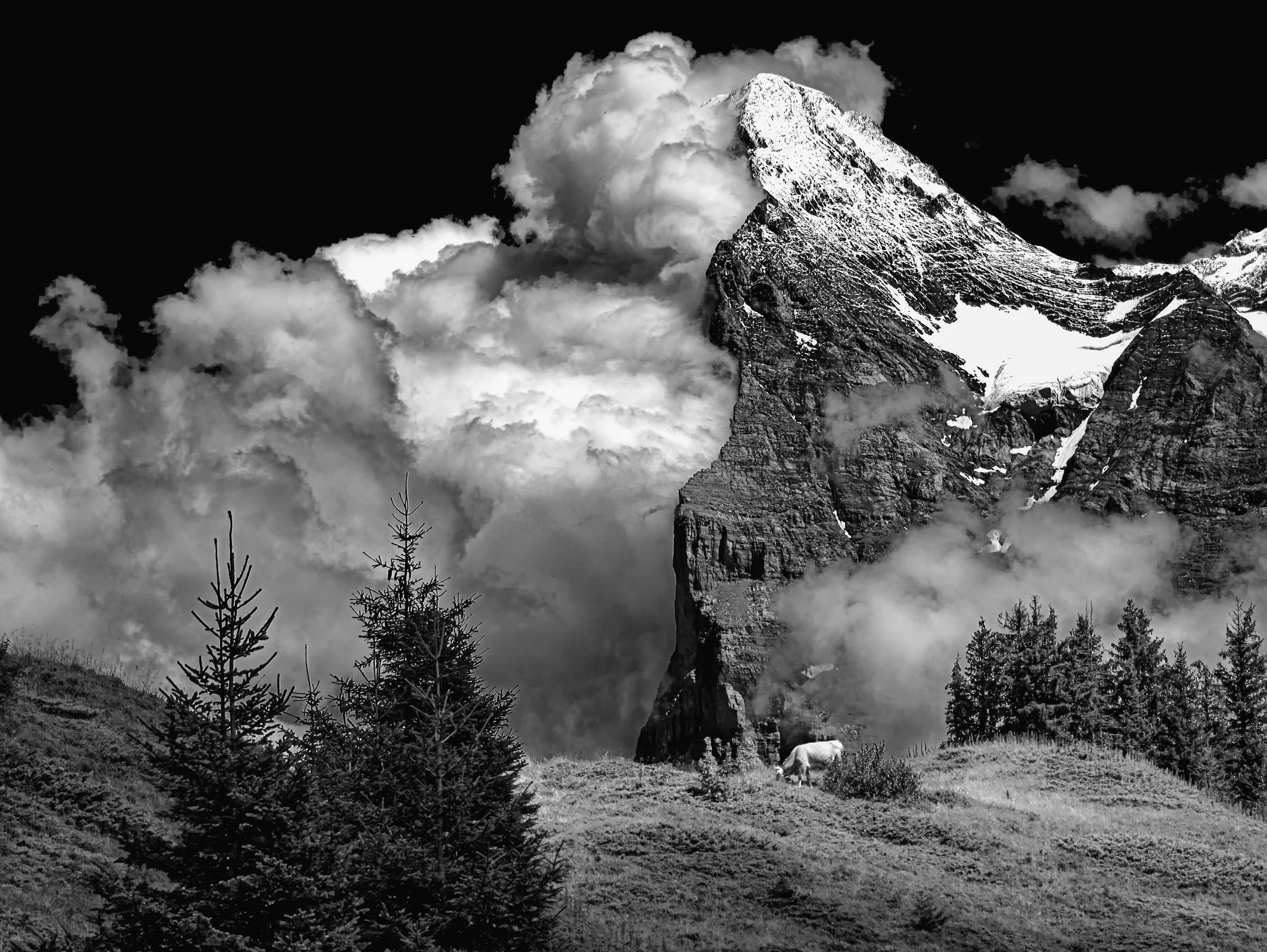 A dramatic black and white landscape photograph of the Eiger mountain in the Swiss Alps. The imposing North Face of the Eiger dominates the right side of the frame, its rocky cliffs and snow patches sharply contrasted in monochrome.