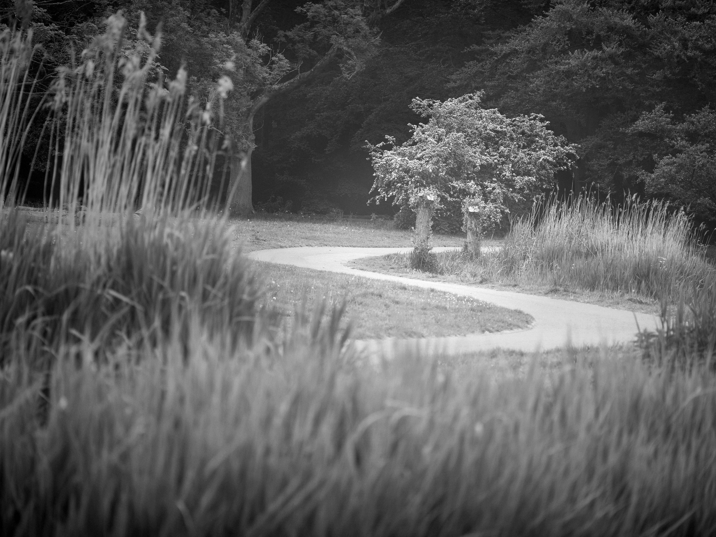 Kralingse Plas Silver Efex interpretation