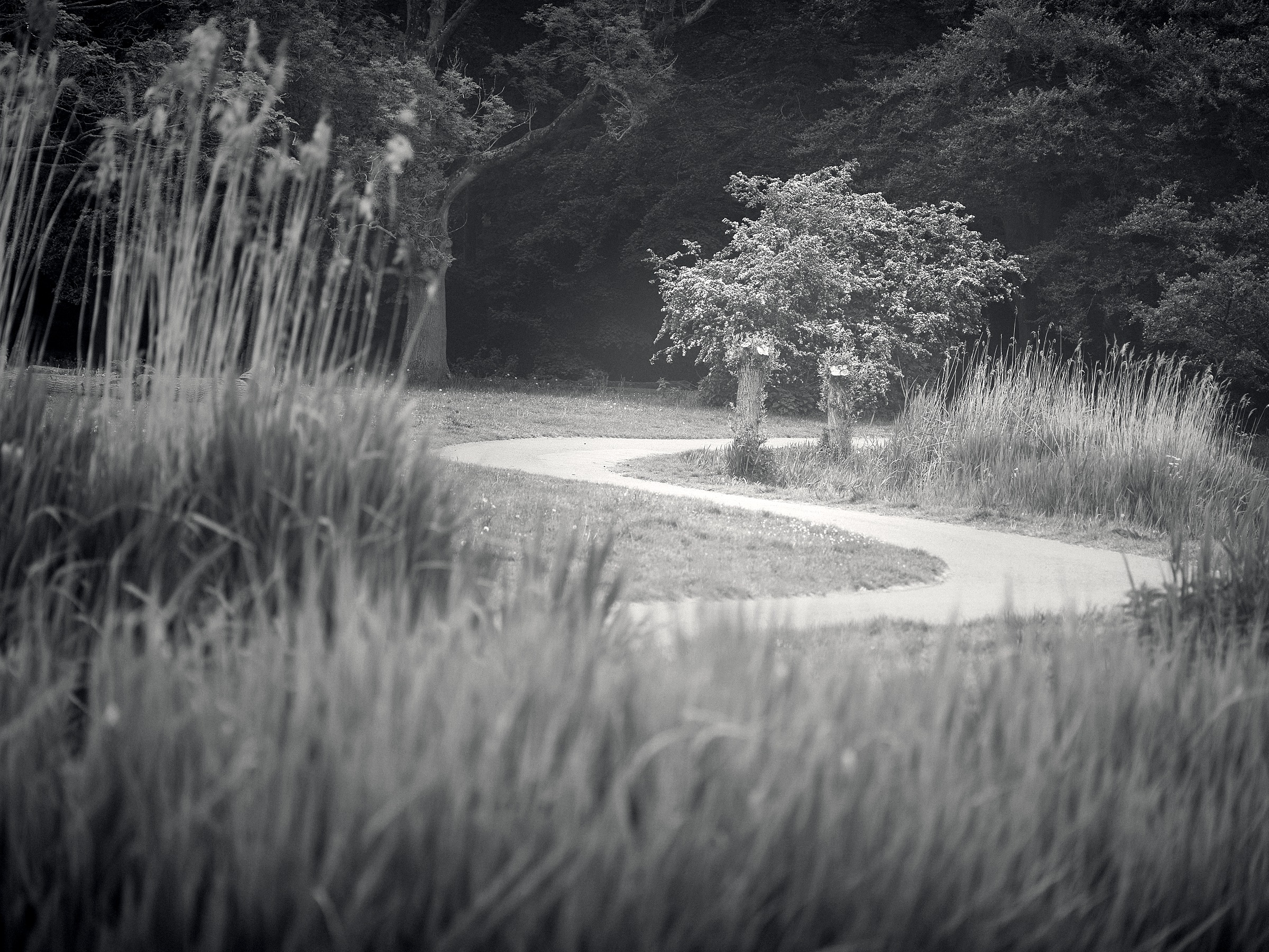 Kralingse Plas final Lightroom export